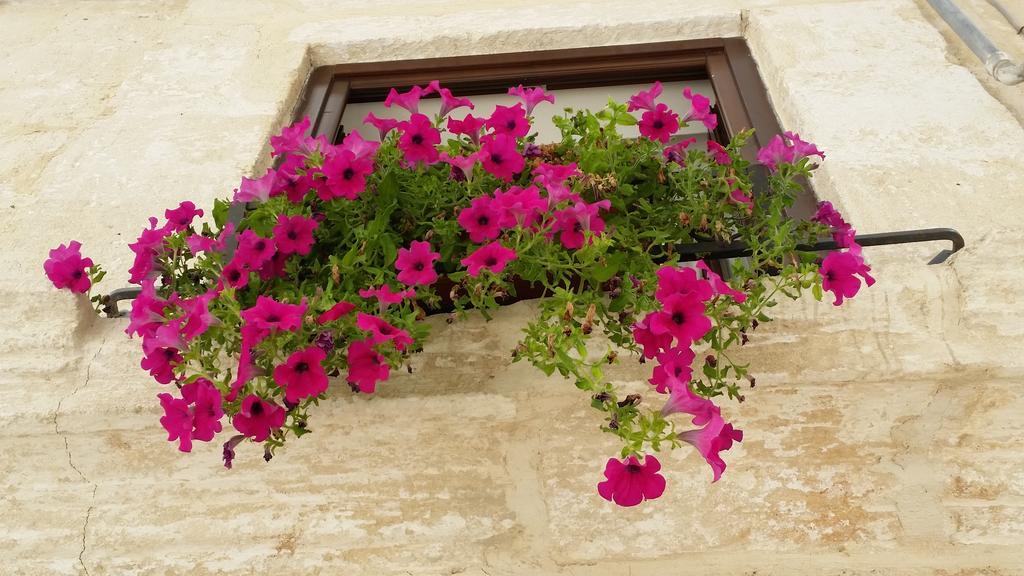 Borgo Antico Apartment Monopoli Exterior foto